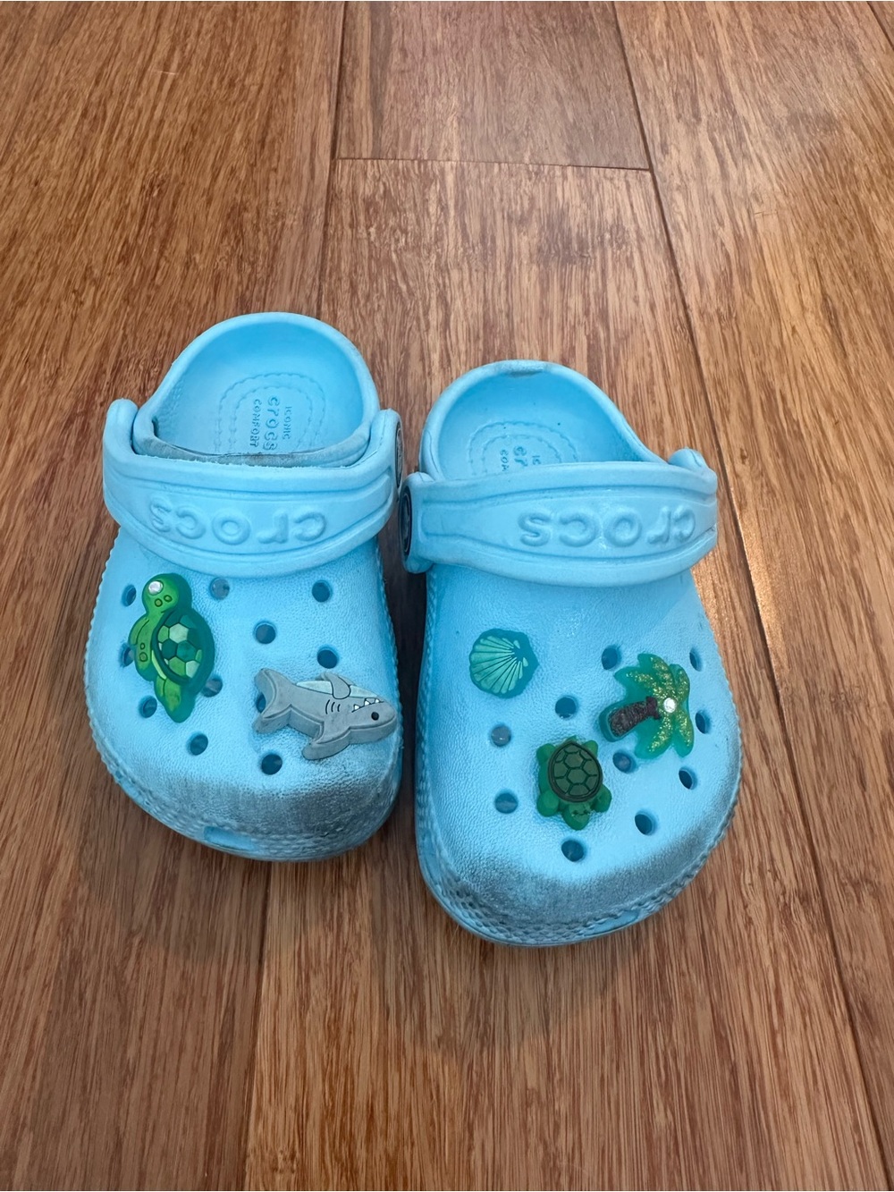 CROCS Kids Light Blue Clogs with Ocean Charms